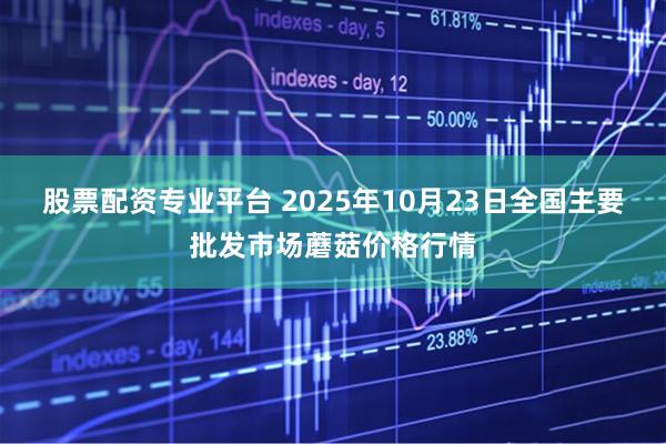 股票配资专业平台 2025年10月23日全国主要批发市场蘑菇价格行情