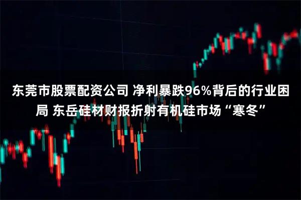 东莞市股票配资公司 净利暴跌96%背后的行业困局 东岳硅材财报折射有机硅市场“寒冬”